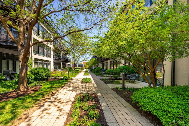 1000 W 15th St Unit 116, Chicago, IL 60608 - view of surrounding community