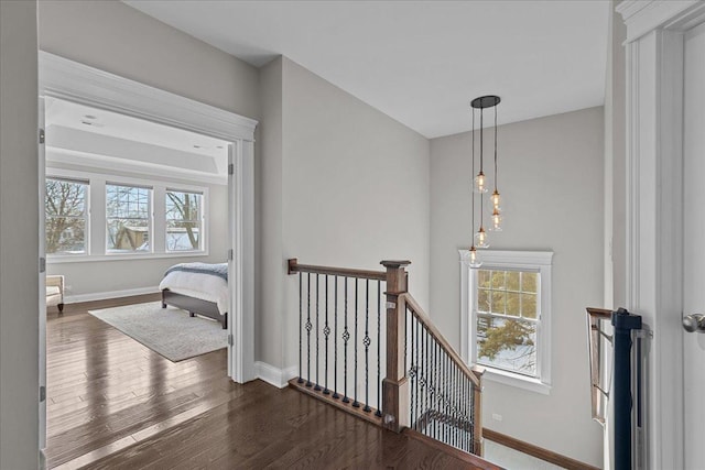 hall with dark wood-type flooring and a wealth of natural light