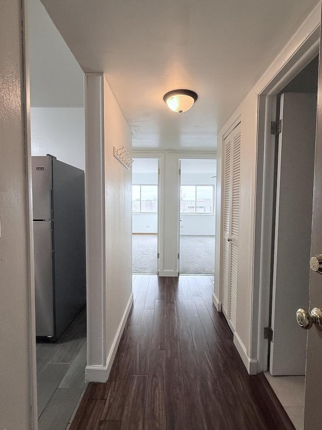 hall featuring dark hardwood / wood-style floors