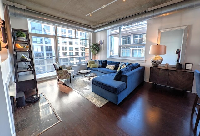 living room featuring dark wood-type flooring