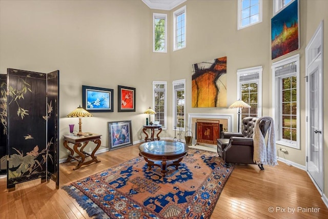 living area with hardwood / wood-style flooring, plenty of natural light, and a towering ceiling