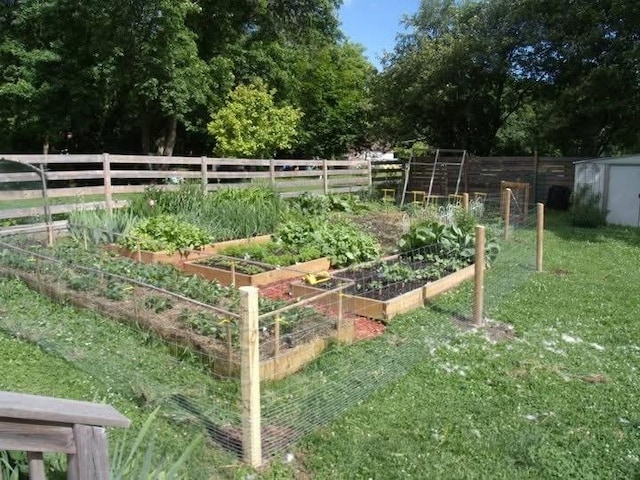 view of yard with a shed