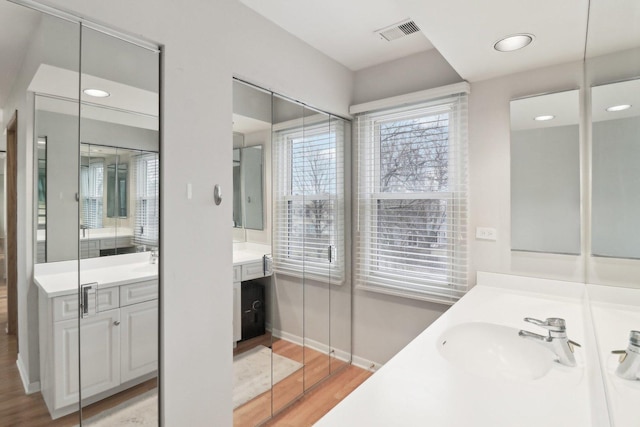 bathroom with hardwood / wood-style flooring and vanity