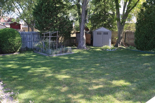 view of yard featuring a storage unit