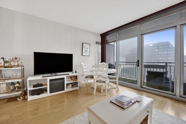 living room with hardwood / wood-style floors