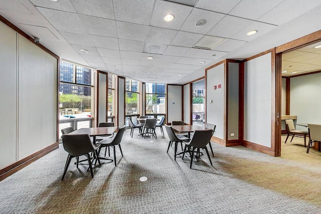 carpeted dining room featuring floor to ceiling windows, baseboards, a drop ceiling, and recessed lighting