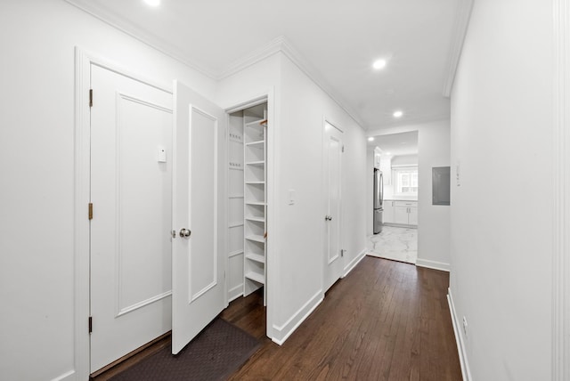 hallway featuring ornamental molding and dark hardwood / wood-style flooring