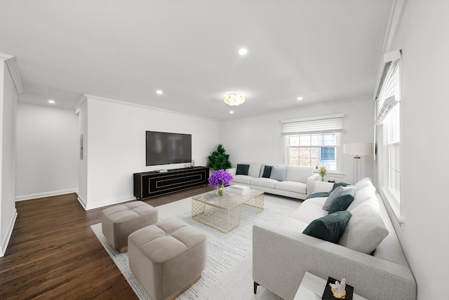 living room featuring crown molding and wood-type flooring