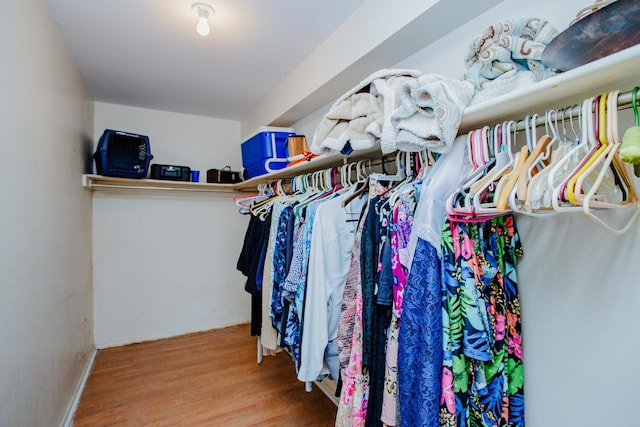 walk in closet featuring hardwood / wood-style flooring