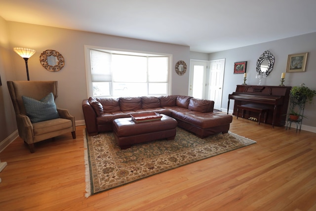 living room featuring hardwood / wood-style flooring