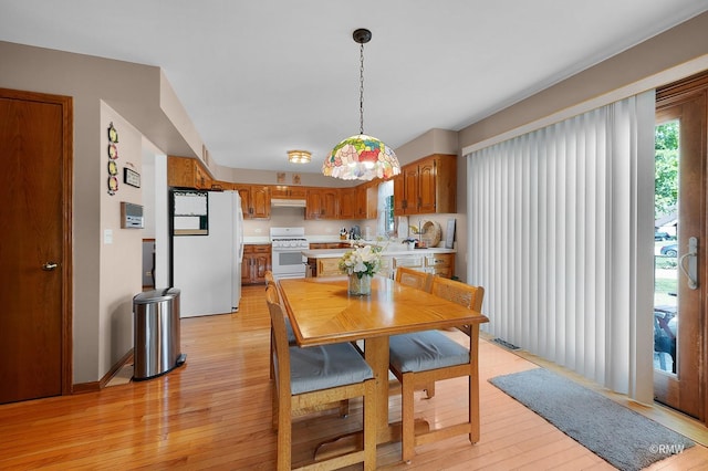 dining area with light hardwood / wood-style flooring