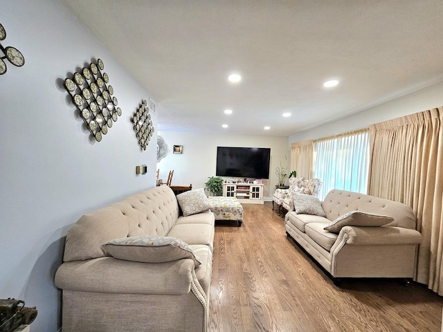 living room with wood-type flooring