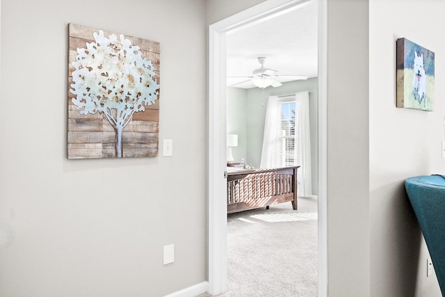 hallway with carpet floors