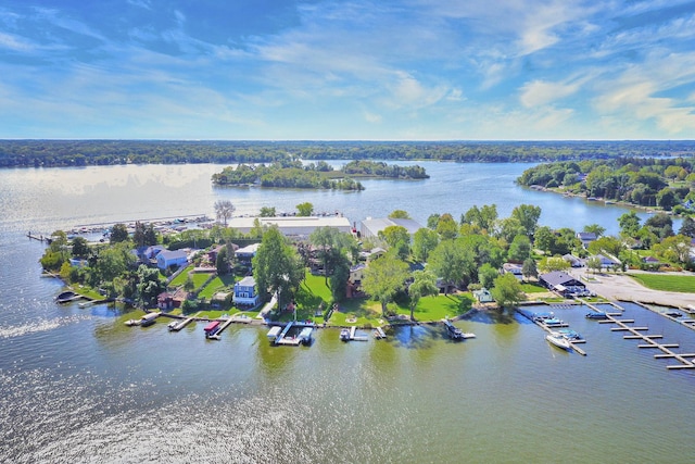 bird's eye view with a water view