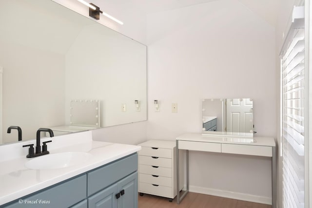 bathroom with hardwood / wood-style flooring and vanity