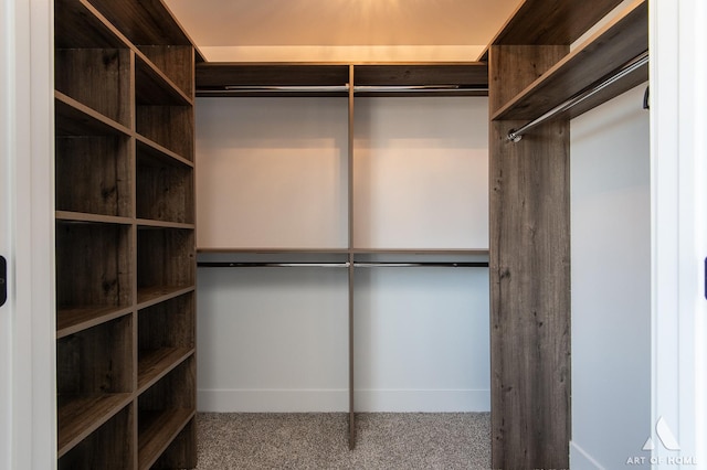 spacious closet featuring carpet