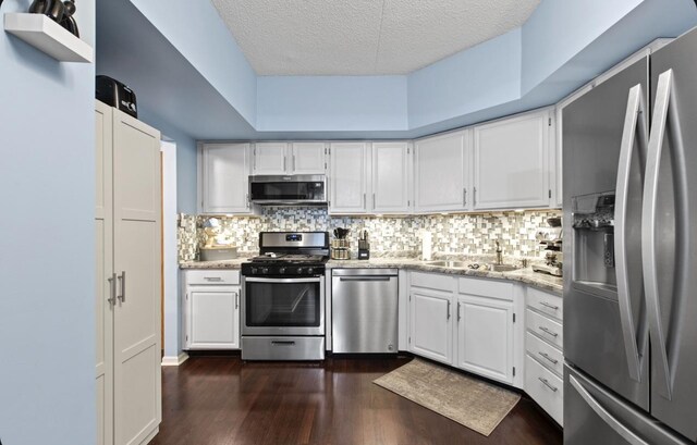 kitchen featuring sink, white cabinets, light stone counters, stainless steel appliances, and dark wood-type flooring