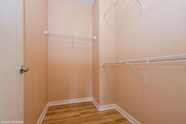 walk in closet featuring wood finished floors