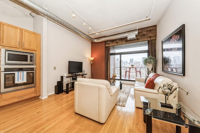 living room featuring light hardwood / wood-style floors and rail lighting