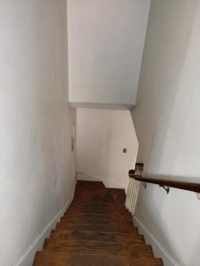 staircase featuring wood-type flooring