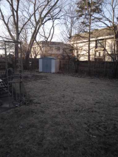 view of yard featuring a storage unit