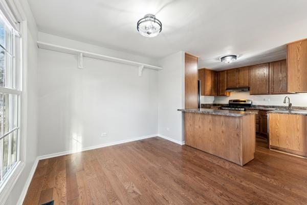 kitchen with sink, dark wood-type flooring, stainless steel electric stove, and kitchen peninsula