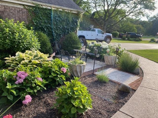 view of yard featuring a patio area