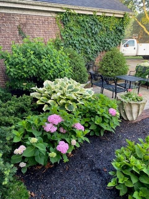 view of yard featuring a patio area