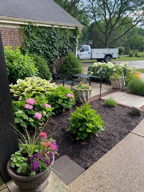 view of yard featuring a patio area