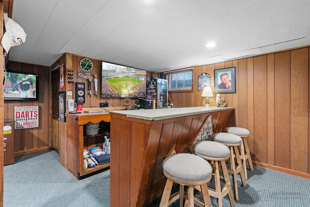 bar with light colored carpet and wooden walls