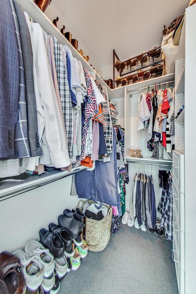 walk in closet with carpet flooring