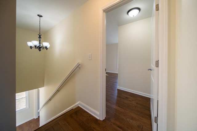 staircase with hardwood / wood-style flooring and a chandelier