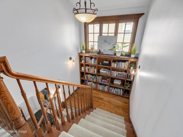 staircase with hardwood / wood-style flooring