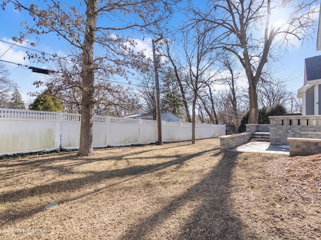 view of yard with a patio area