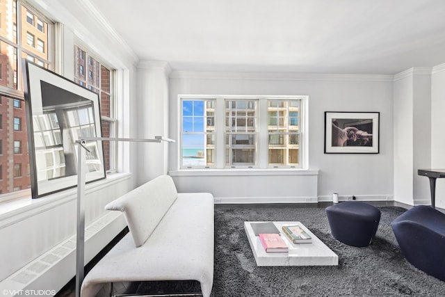 living room with ornamental molding