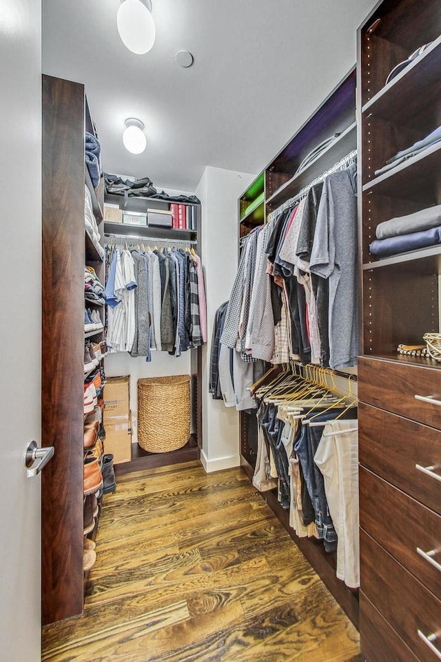 spacious closet featuring dark hardwood / wood-style floors