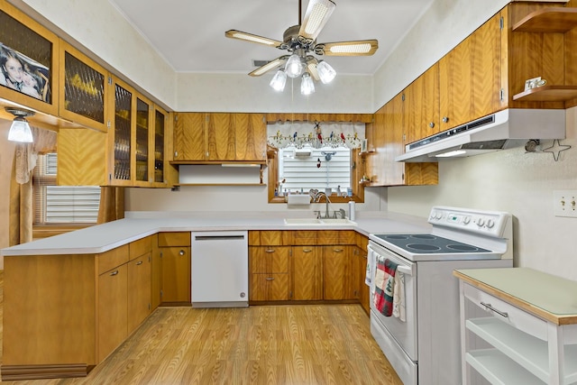 kitchen with sink, white appliances, light hardwood / wood-style floors, and ceiling fan