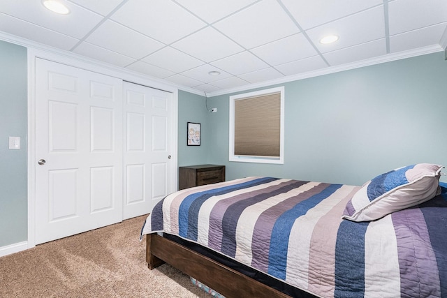 carpeted bedroom featuring ornamental molding, a closet, and a drop ceiling