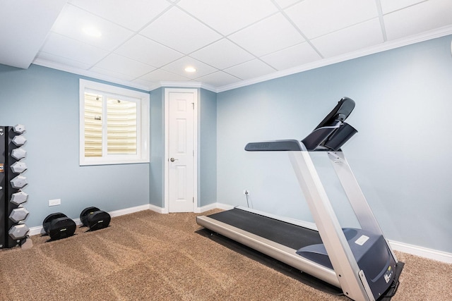 workout area featuring ornamental molding and carpet floors