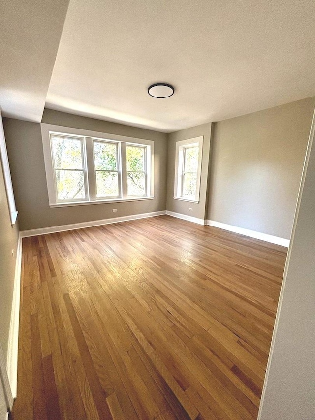 unfurnished room with wood-type flooring