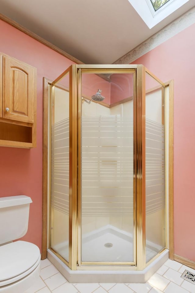 665 S Circle Ave, Port Barrington, IL 60010 - bathroom with a skylight, a stall shower, and tile patterned floors