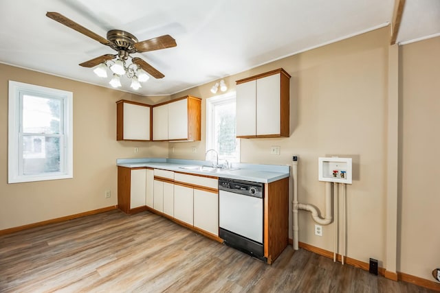 kitchen with sink, dishwasher, ceiling fan, light hardwood / wood-style floors, and white cabinets