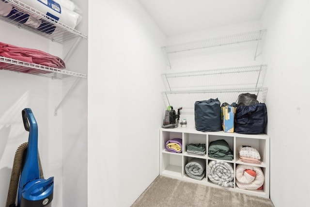 walk in closet with carpet floors