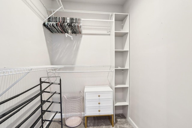 spacious closet with carpet floors