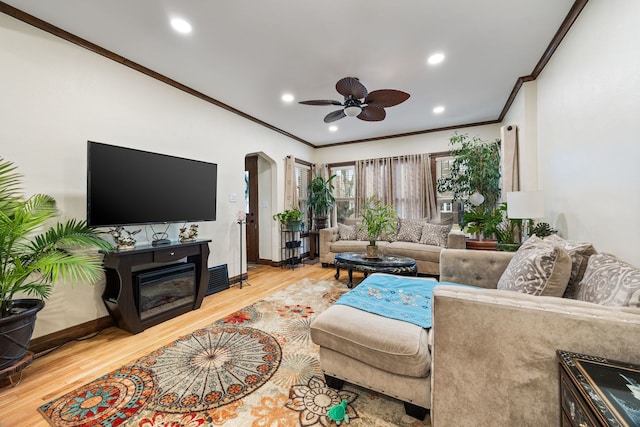 living room with crown molding, ceiling fan, and light hardwood / wood-style flooring