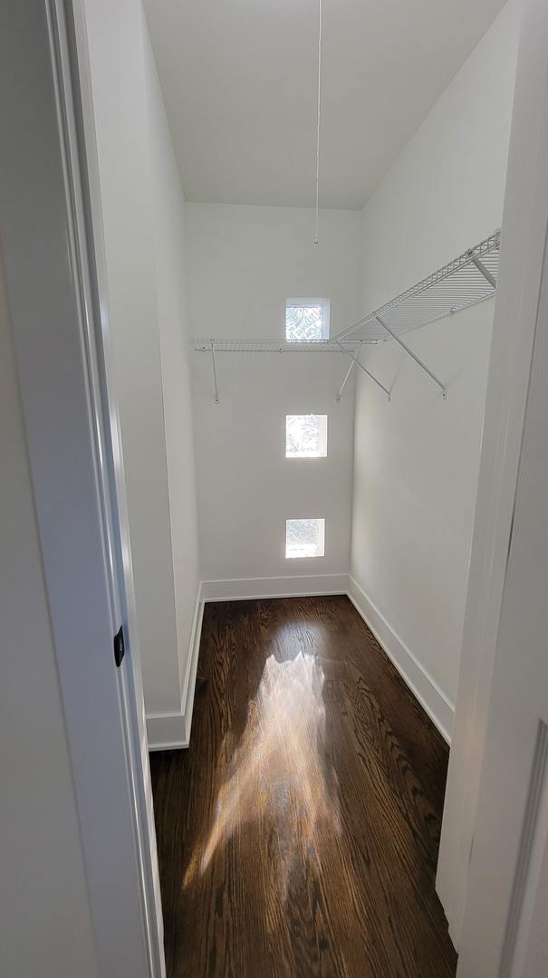 walk in closet with dark hardwood / wood-style floors