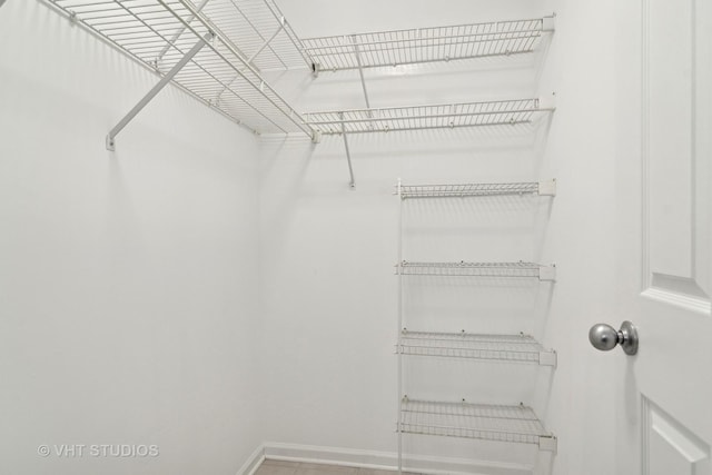 view of spacious closet