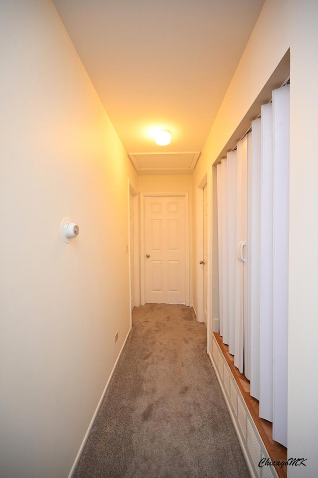 hallway with carpet