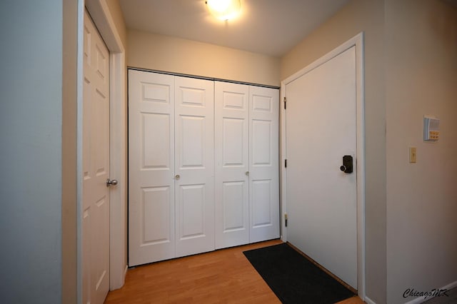 entryway with light wood-type flooring