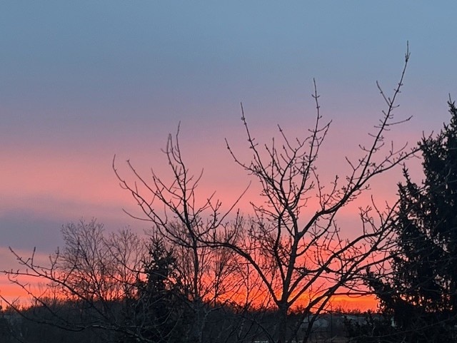 view of nature at dusk